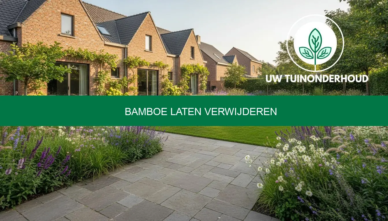 Bamboe laten verwijderen: prijs, aanpak en nazorg