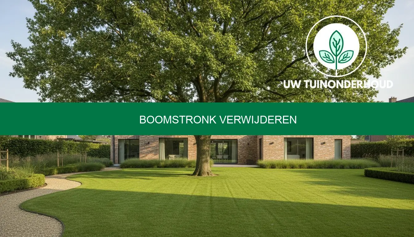 Boomstronk verwijderen: prijzen en aanpak met eerlijk advies