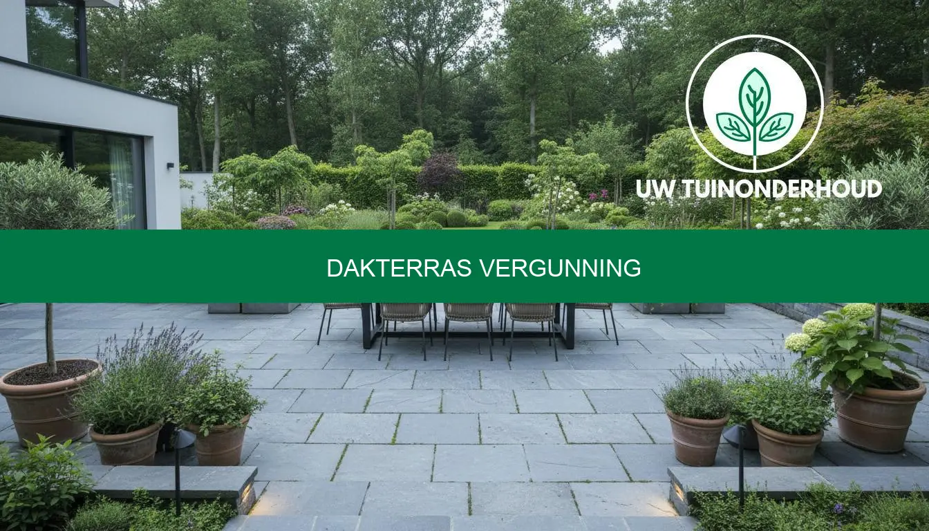 Dakterras vergunning aanvragen - regels en stappen uitgelegd