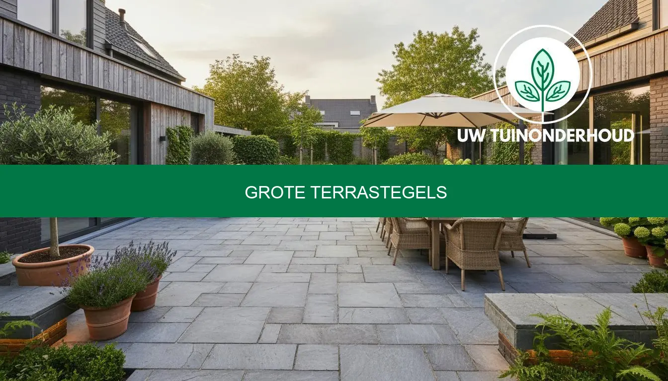 Grote terrastegels kiezen en plaatsen - Eerlijk advies Uw Tuinonderhoud