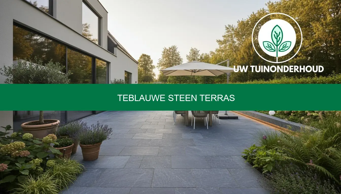 Teblauwe steen terras - prijs, keuzes en onderhoudstips