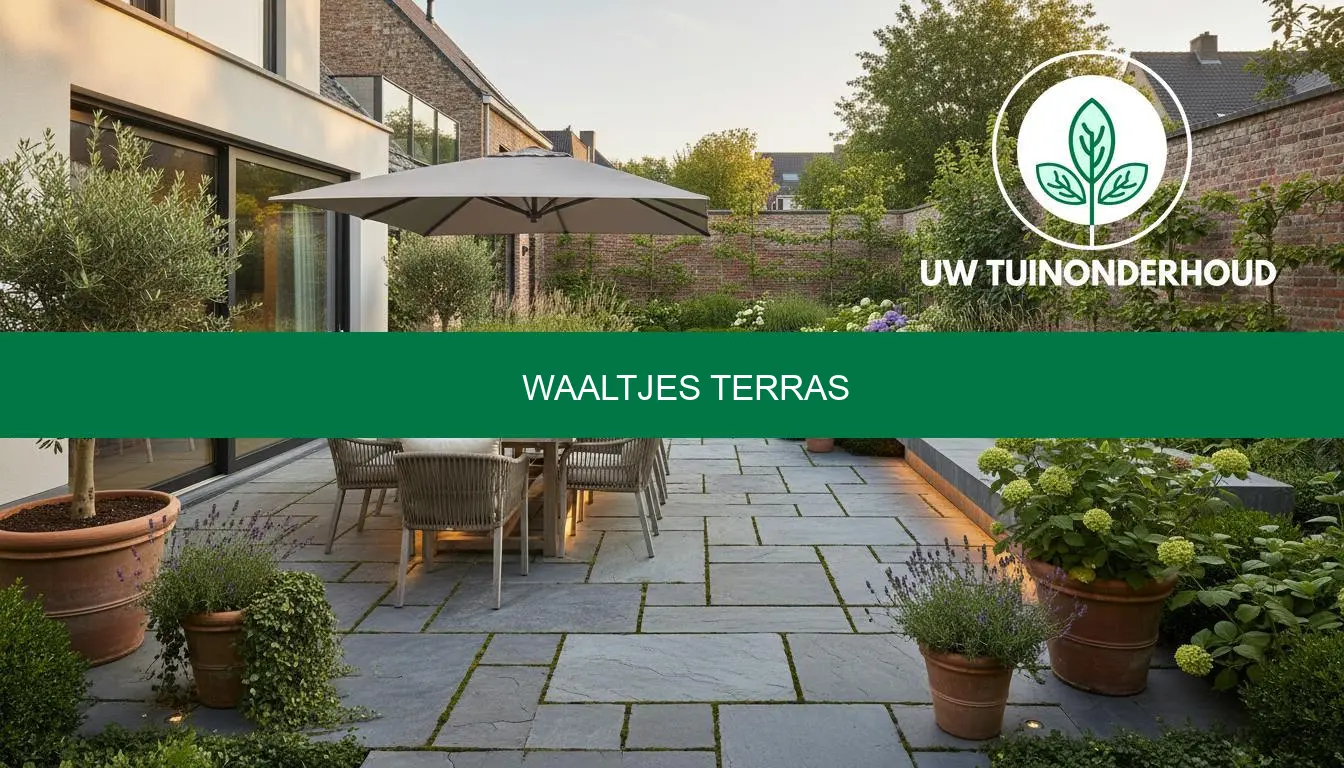 Waaltjes terras: prijzen, legverbanden en onderhoud